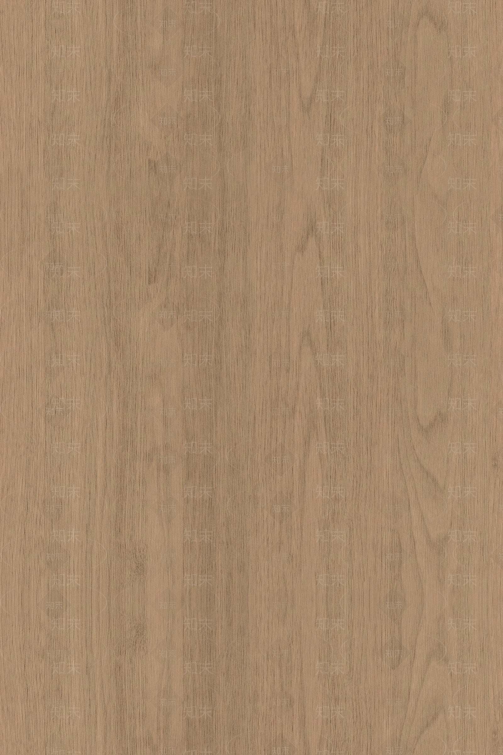 现代浅色木纹贴图下载【ID:1189220457】