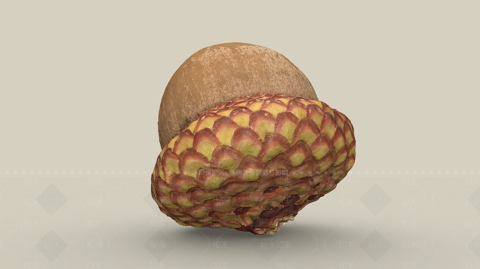 酒水食物3D模型下载【ID:1189313139】