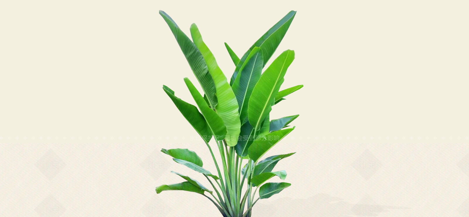 乔木SU模型下载【ID:1189240419】