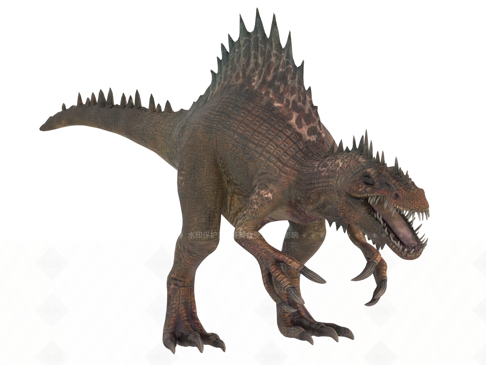 其他动物3D模型下载【ID:1189247479】