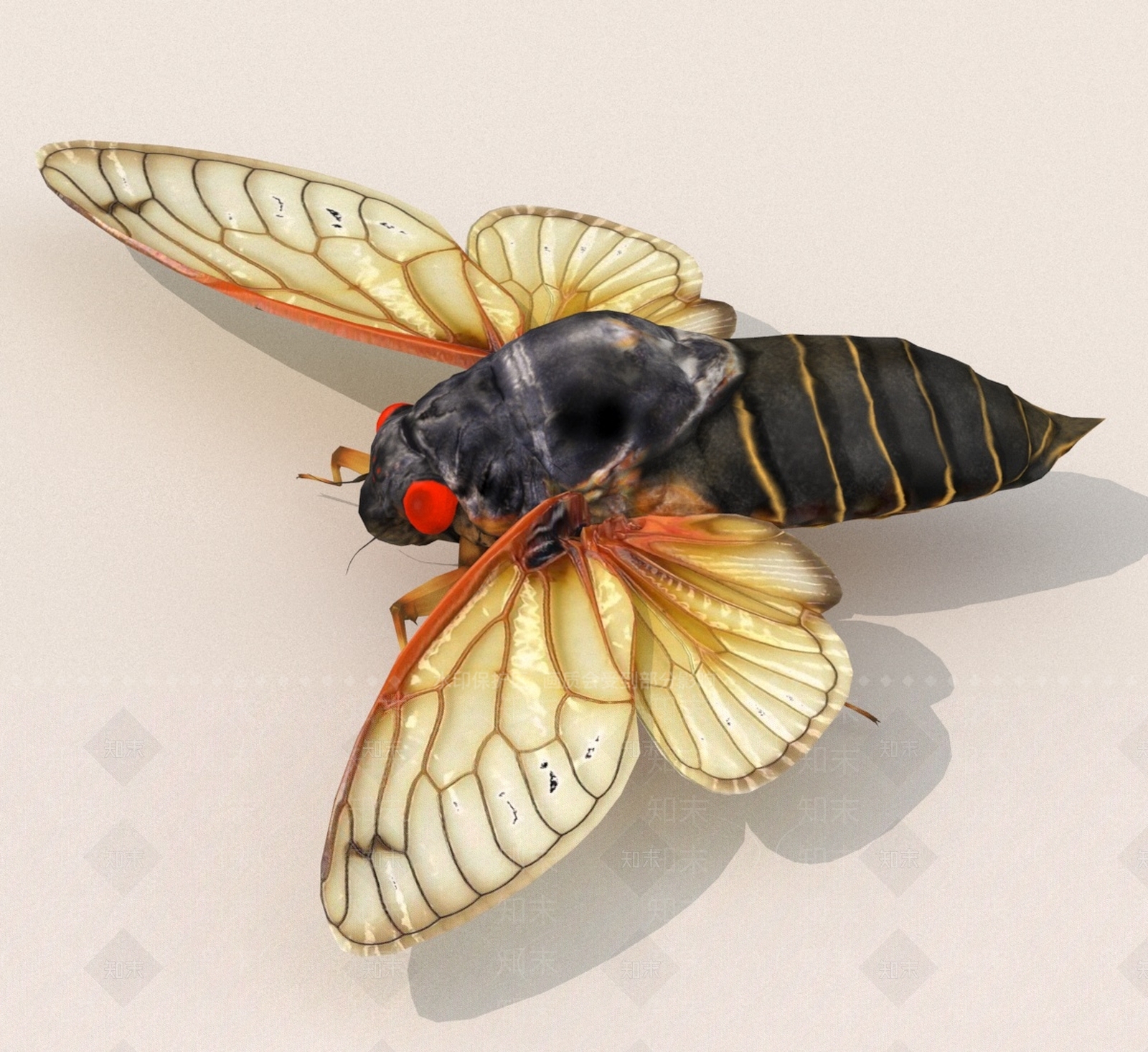 飞行类动物3D模型下载【ID:1189248772】