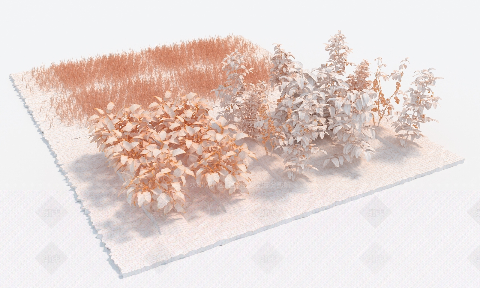 农作物3D模型下载【ID:1189256773】