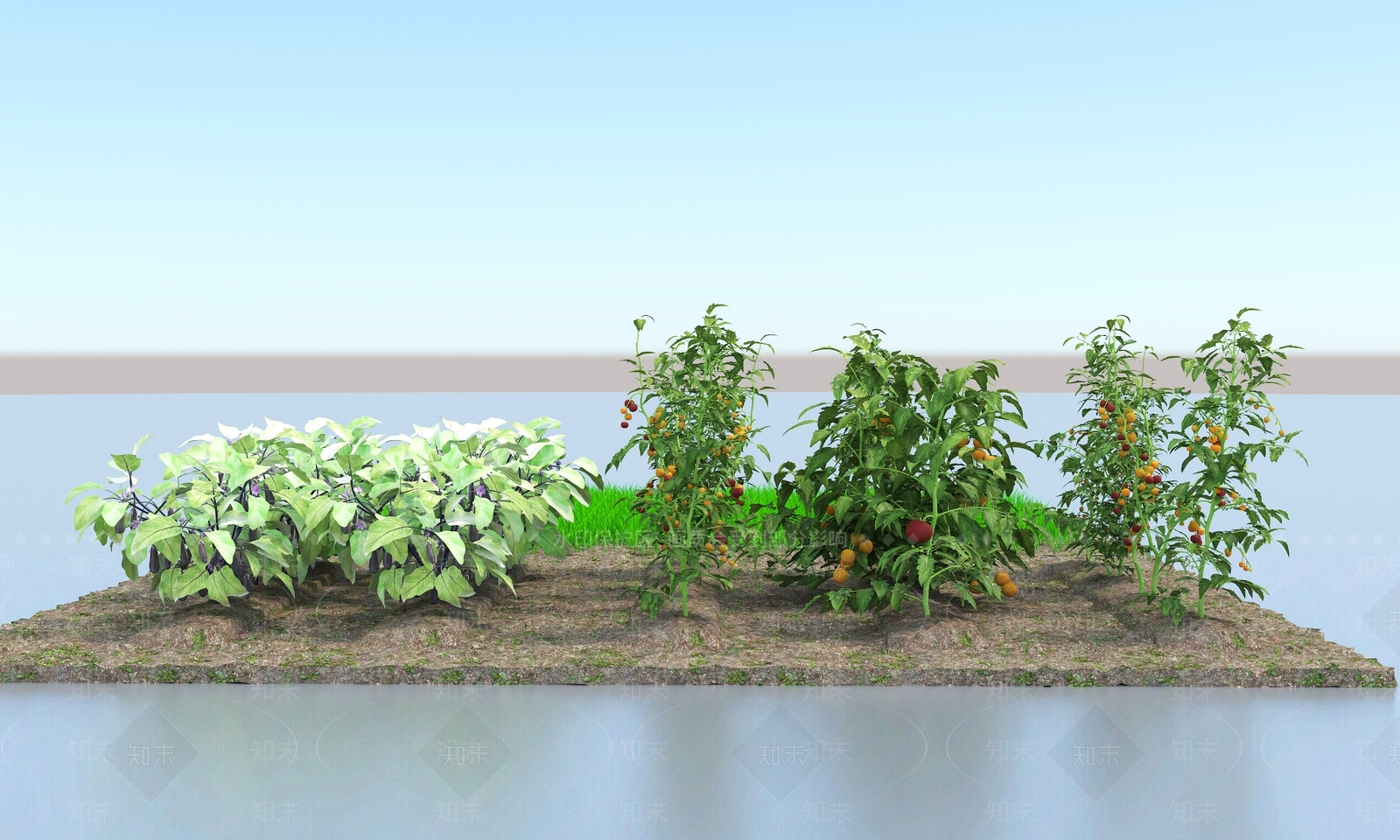 农作物3D模型下载【ID:1189256773】