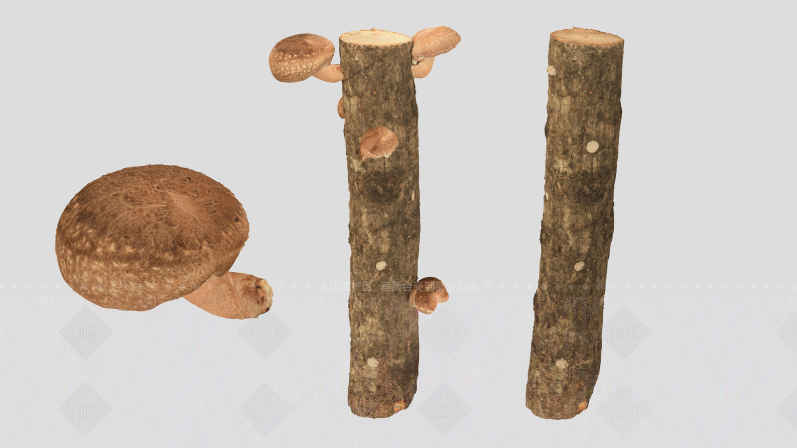 其他绿植3D模型下载【ID:1189277201】