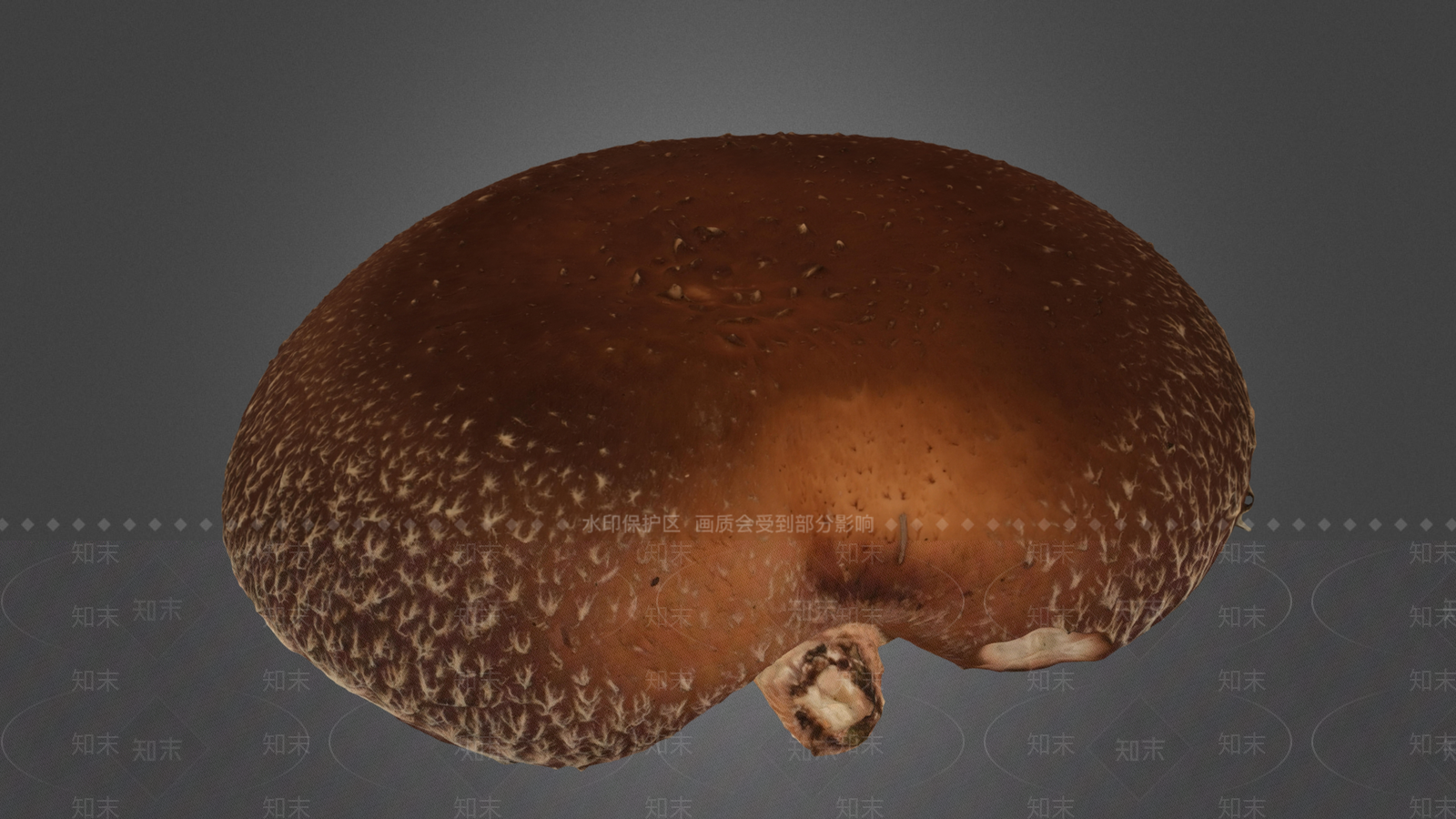 农作物3D模型下载【ID:1189284634】