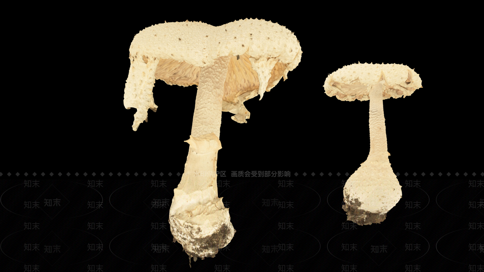 酒水食物3D模型下载【ID:1189292004】