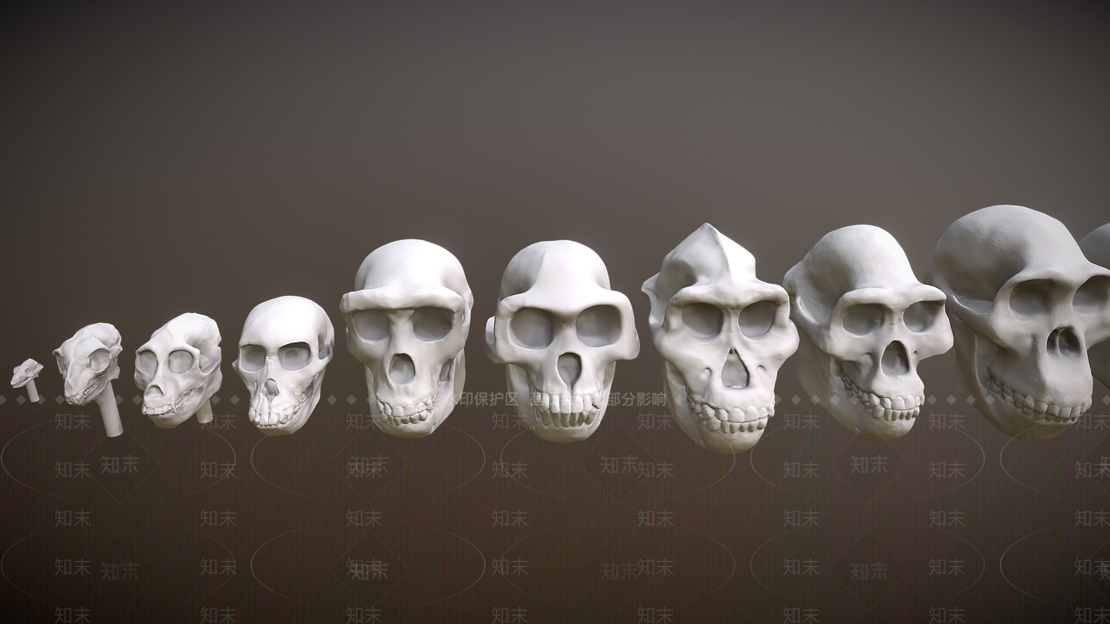 多人3D模型下载【ID:1189300821】