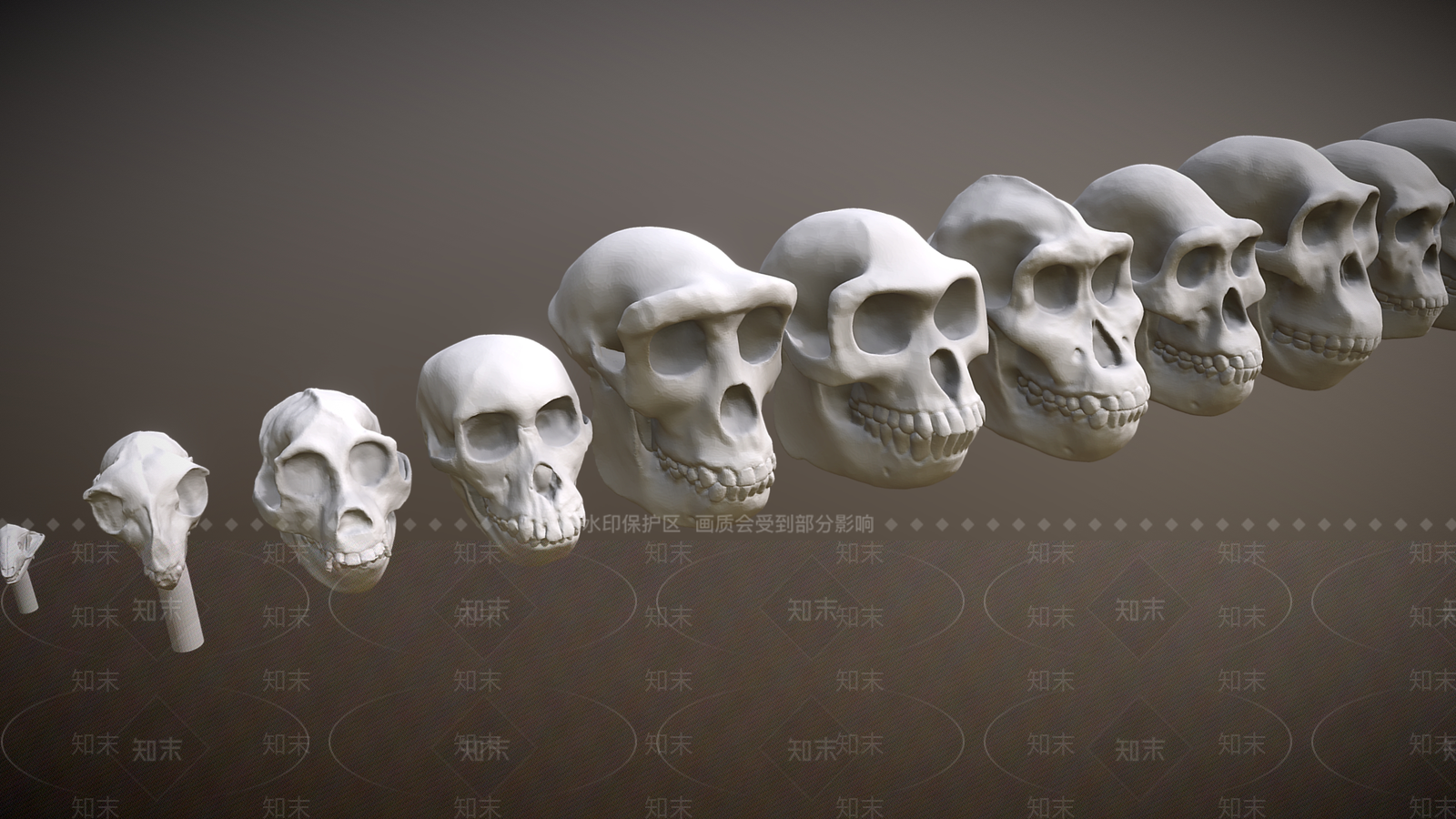 多人3D模型下载【ID:1189300821】