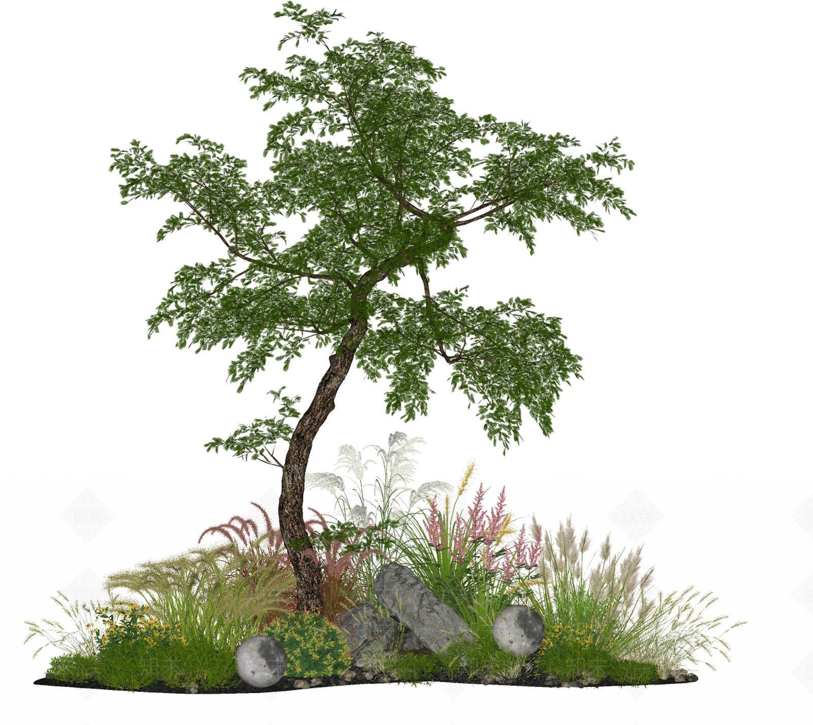 植物组合SU模型下载【ID:1189329317】