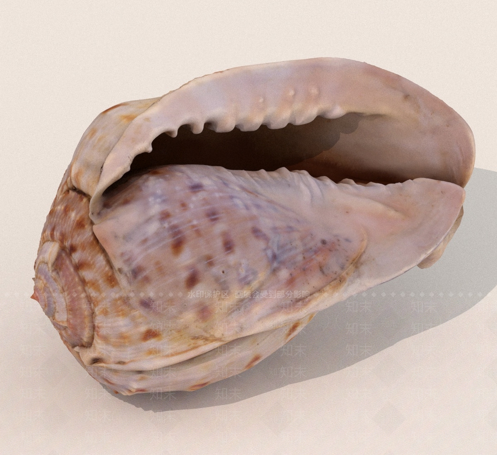 水生类动物3D模型下载【ID:1189347110】