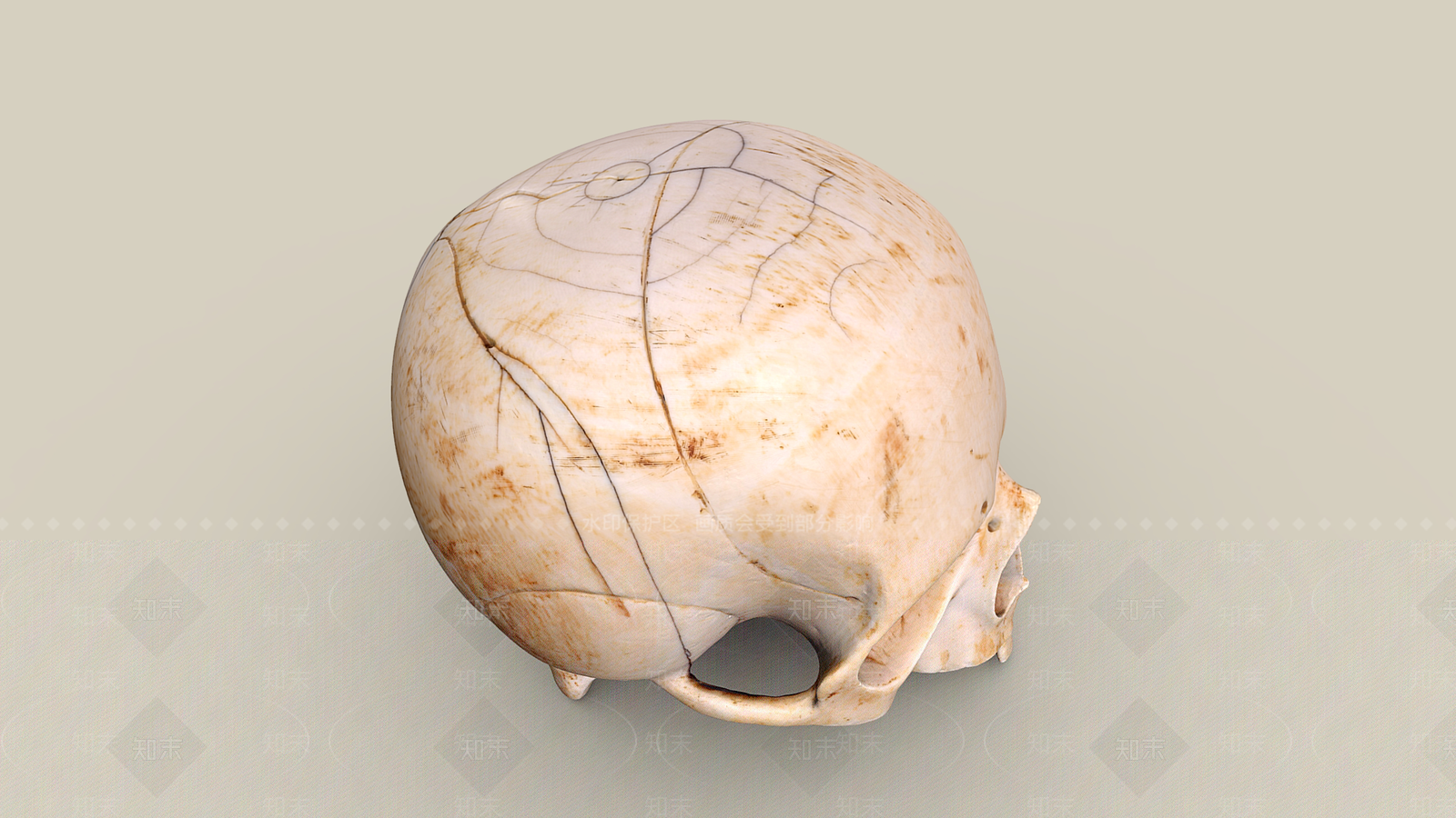 女人3D模型下载【ID:1189348201】