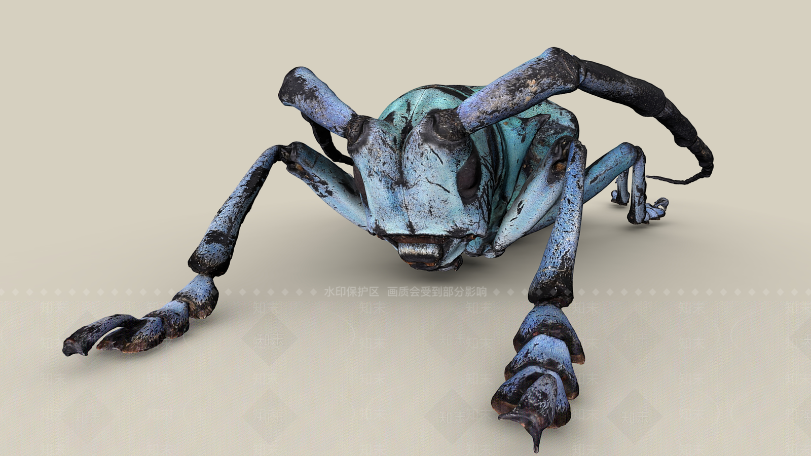 爬行类动物3D模型下载【ID:1189349188】