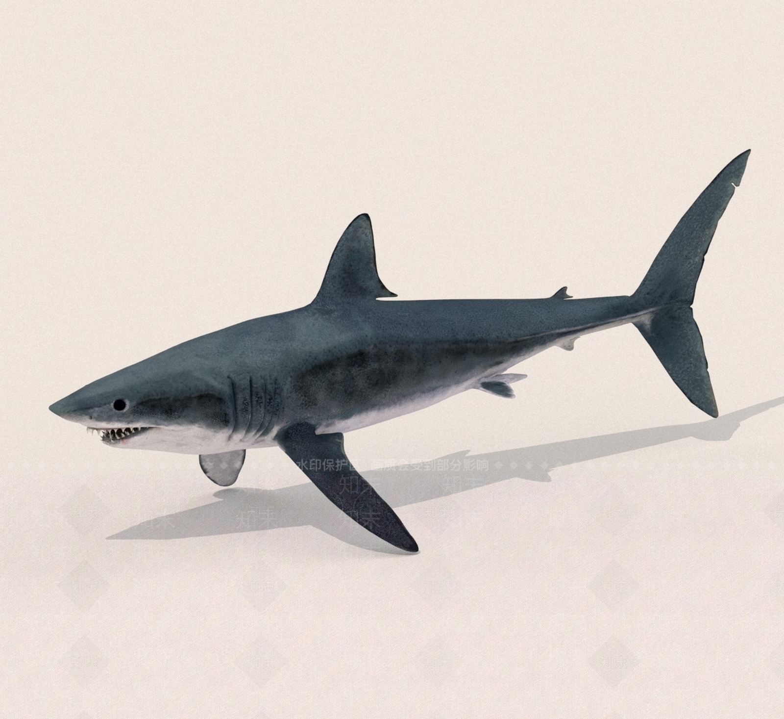 水生类动物3D模型下载【ID:1189349251】