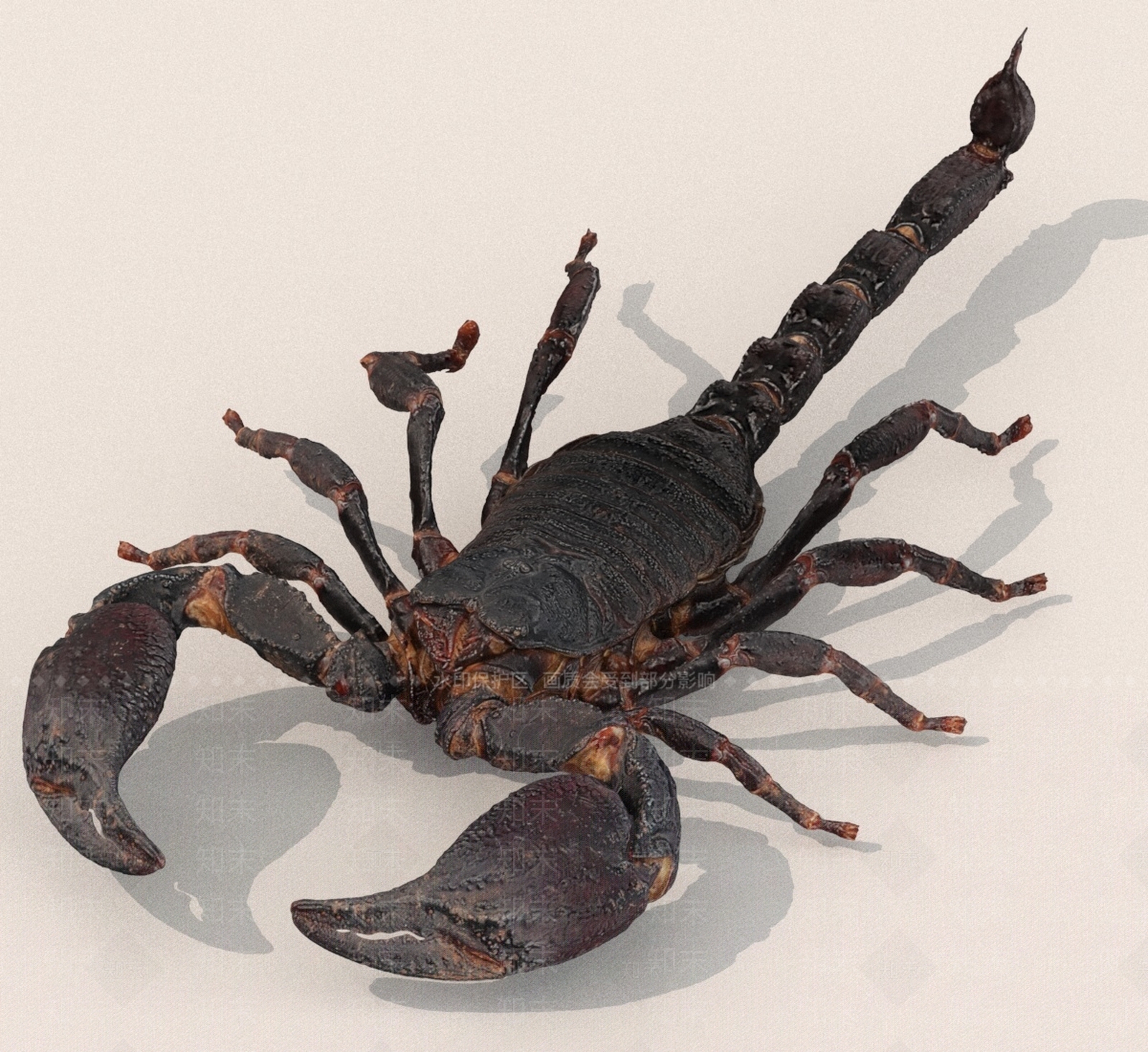 其他动物3D模型下载【ID:1189366506】