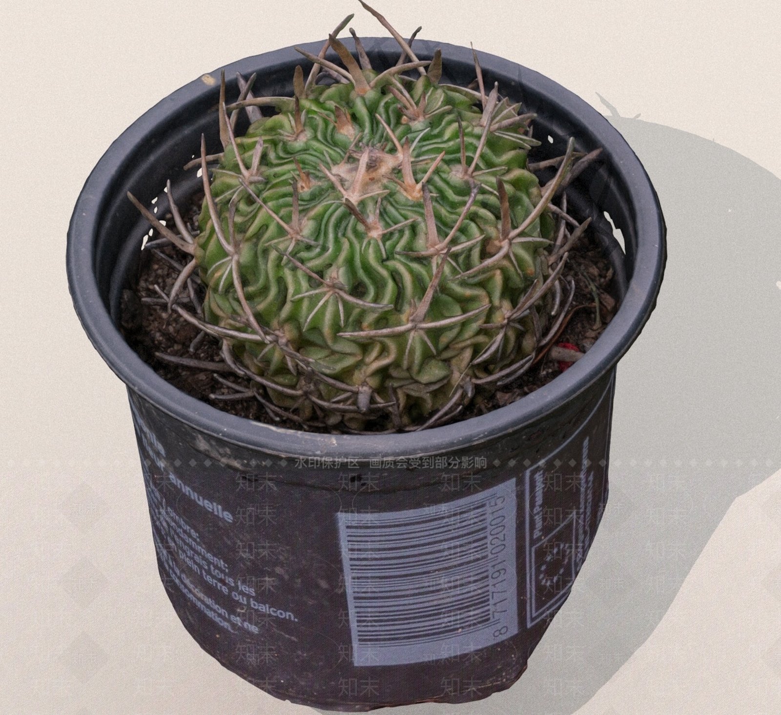 花草组合3D模型下载【ID:1189369254】