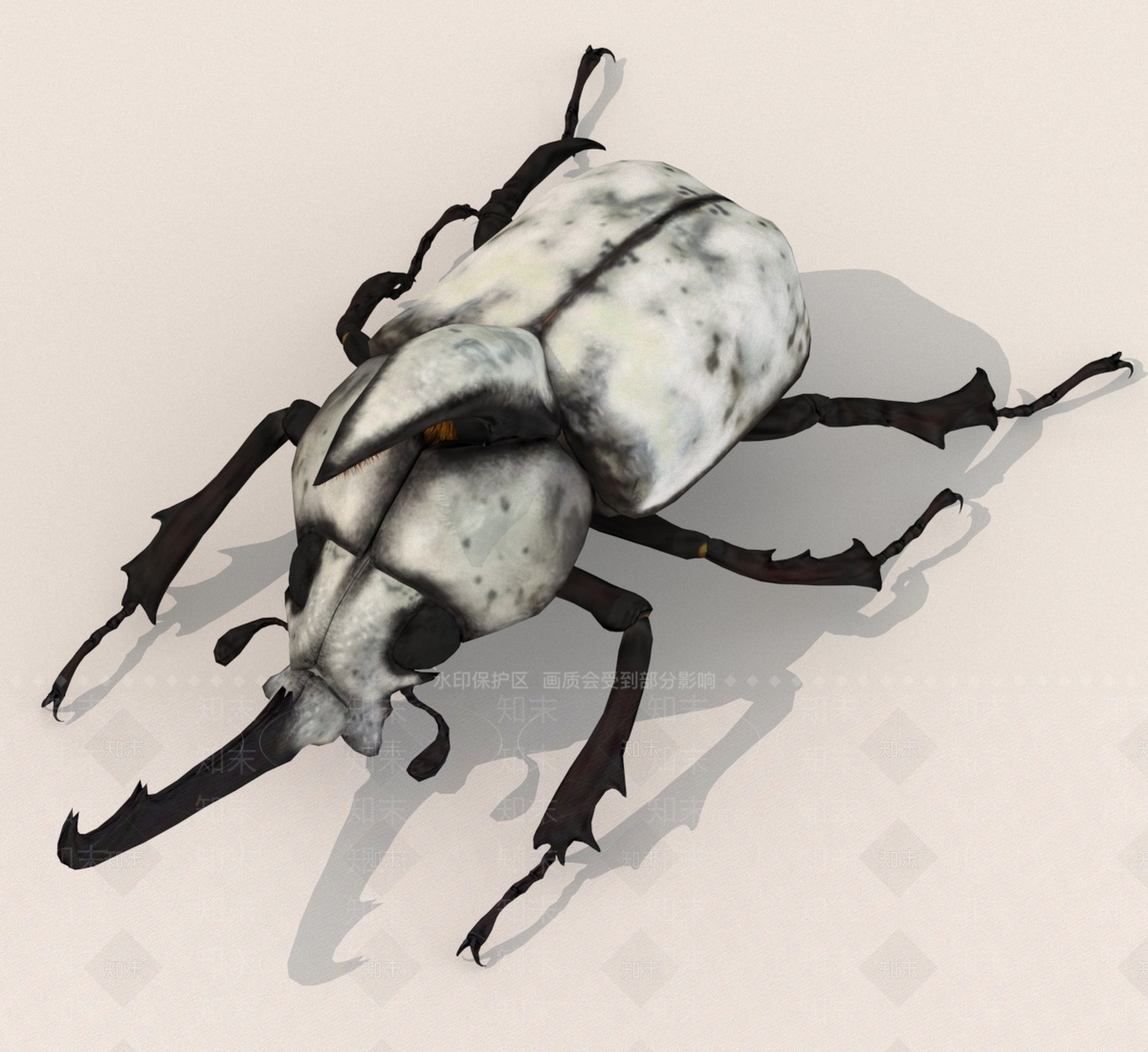 水生类动物3D模型下载【ID:1189400794】