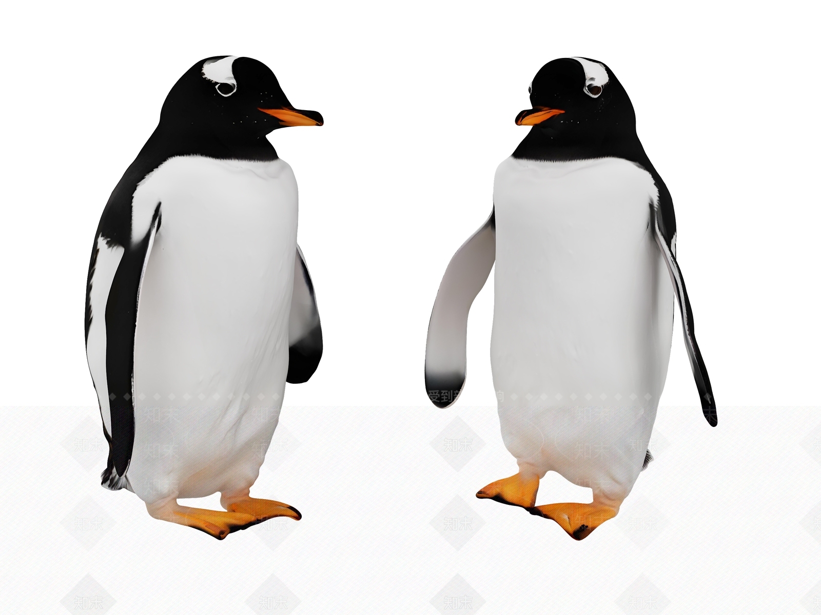 水生类动物3D模型下载【ID:1189406276】