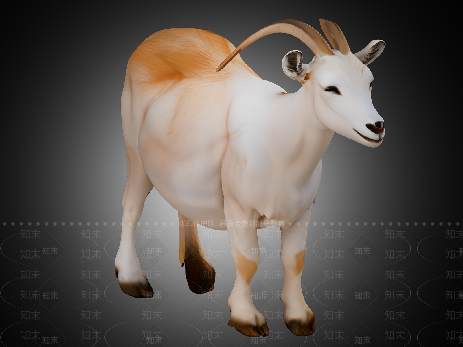 家禽类动物3D模型下载【ID:1189406637】