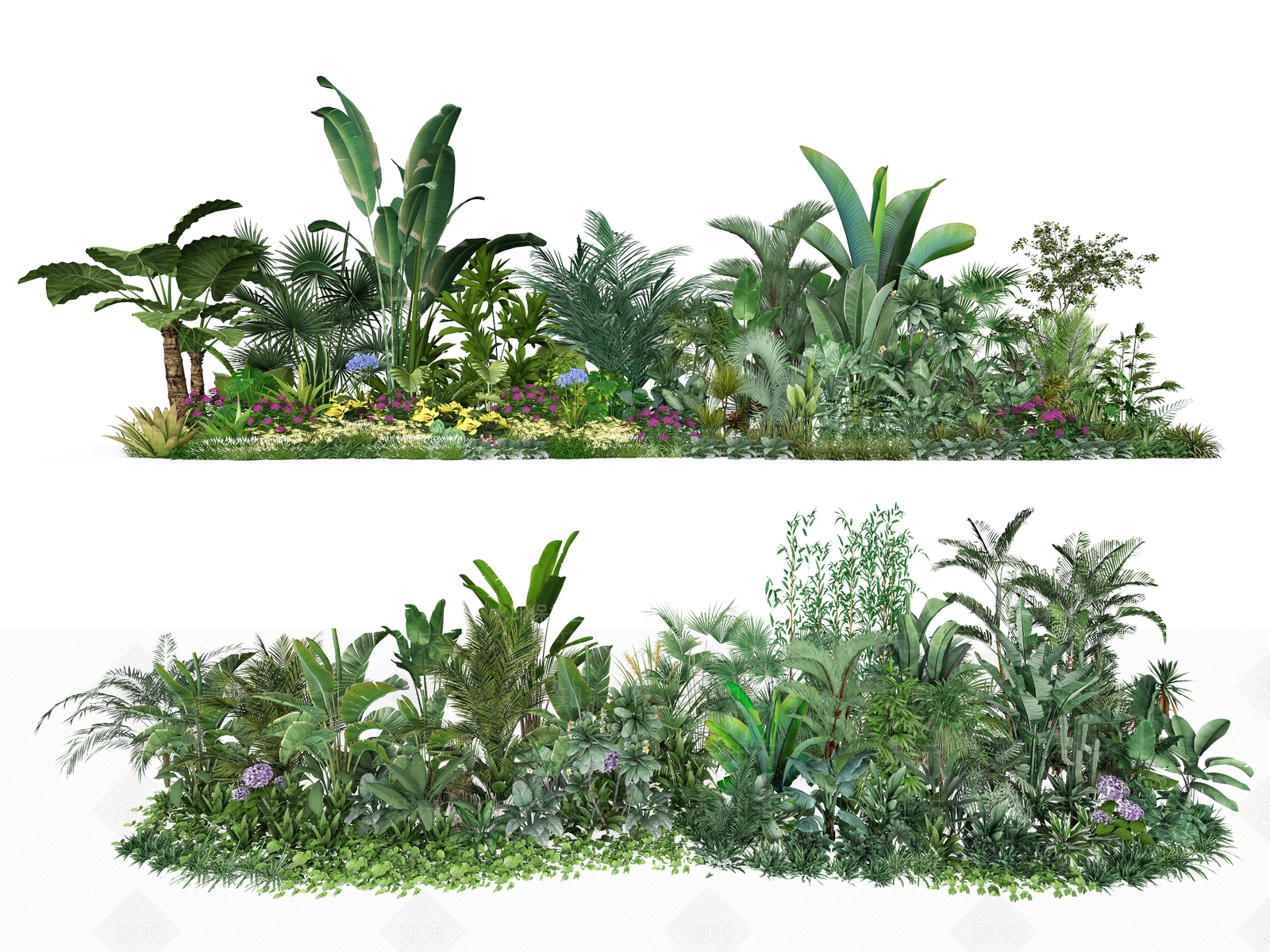 植物组合SU模型下载【ID:1189411508】
