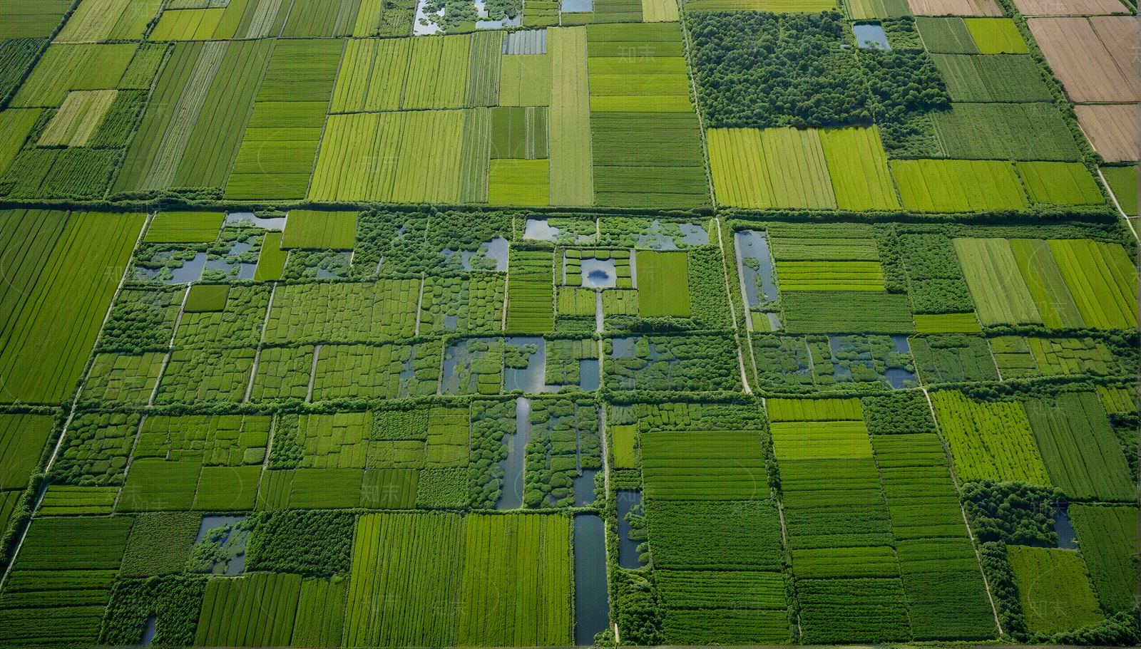 现代乡村贴图下载【ID:1189413313】