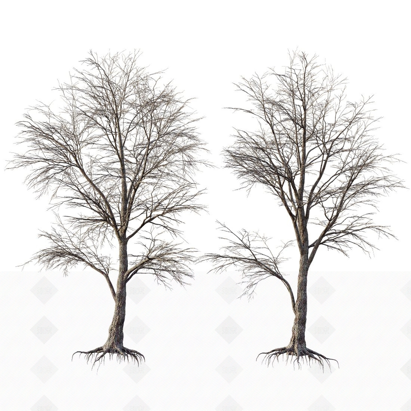 景观树3D模型下载【ID:1189433047】