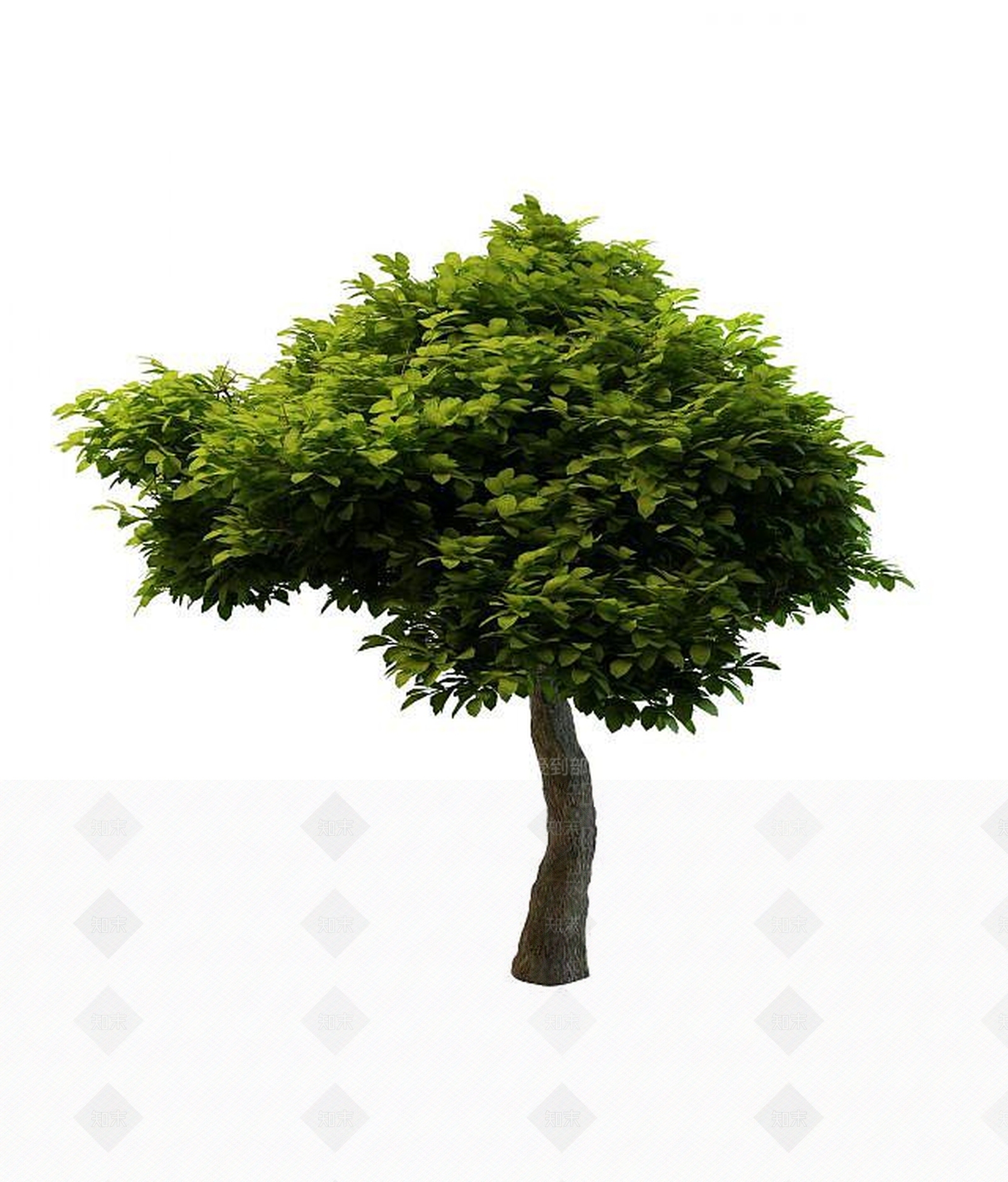 现代景观树3D模型下载【ID:1189456381】