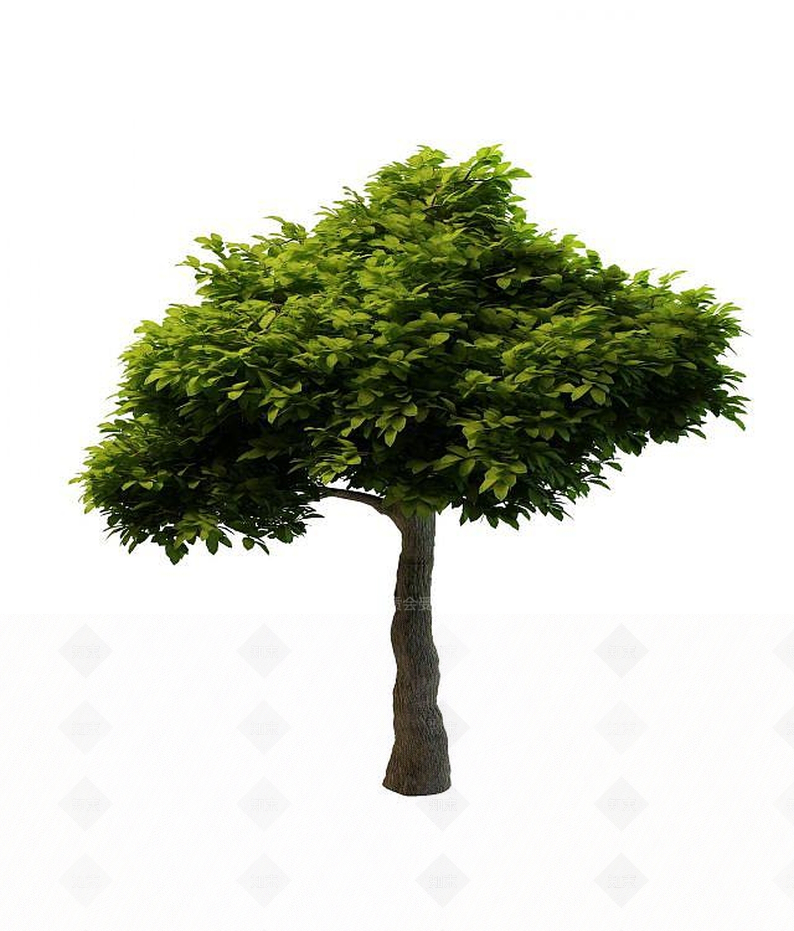 现代景观树3D模型下载【ID:1189456381】