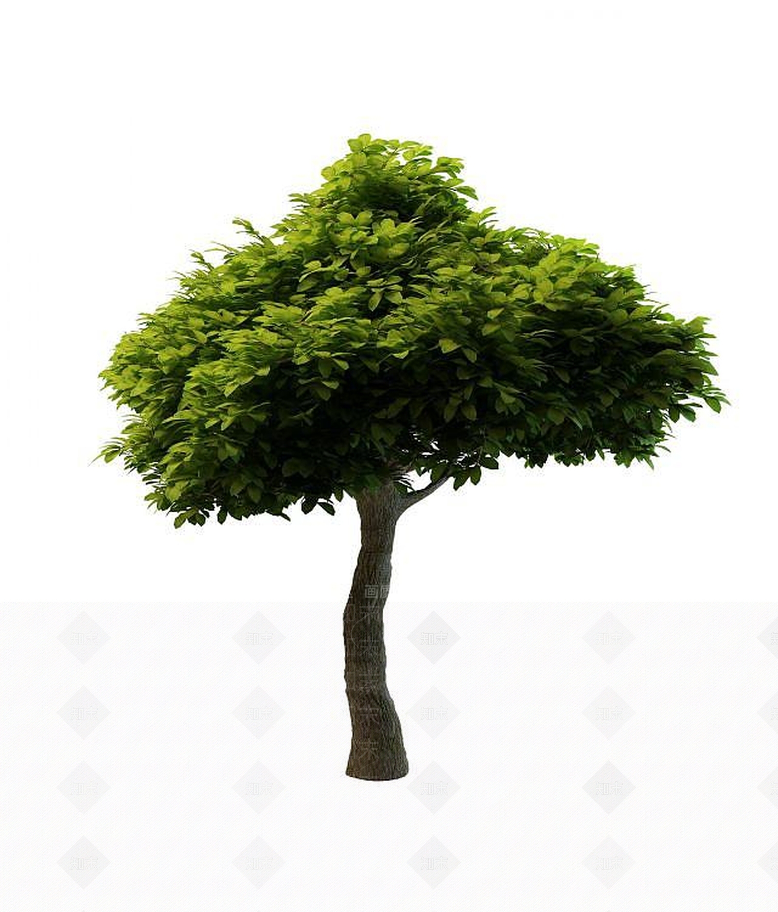 现代景观树3D模型下载【ID:1189456381】