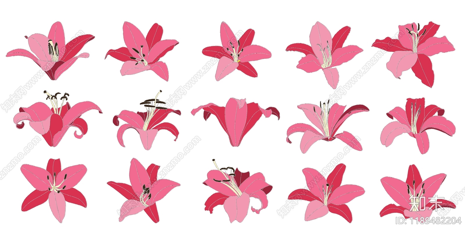 现代花cad施工图下载【ID:1189482204】