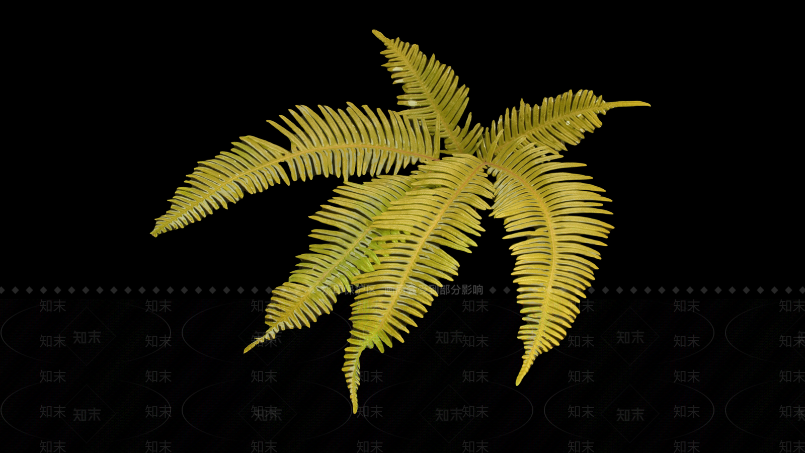 其他树木3D模型下载【ID:1189489849】
