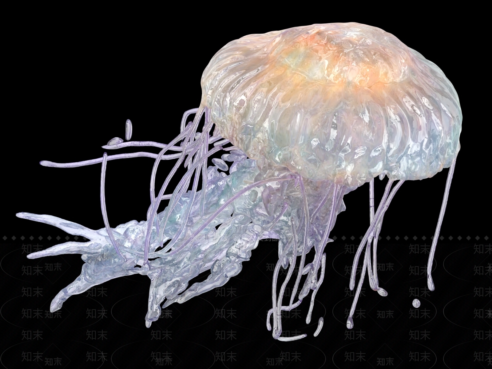 水生类动物3D模型下载【ID:1189508528】