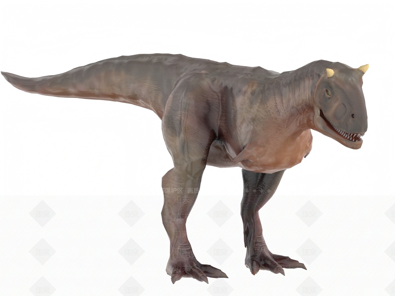 其他动物3D模型下载【ID:1189517224】