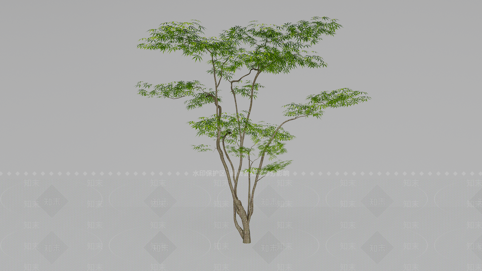 景观树3D模型下载【ID:1189528637】