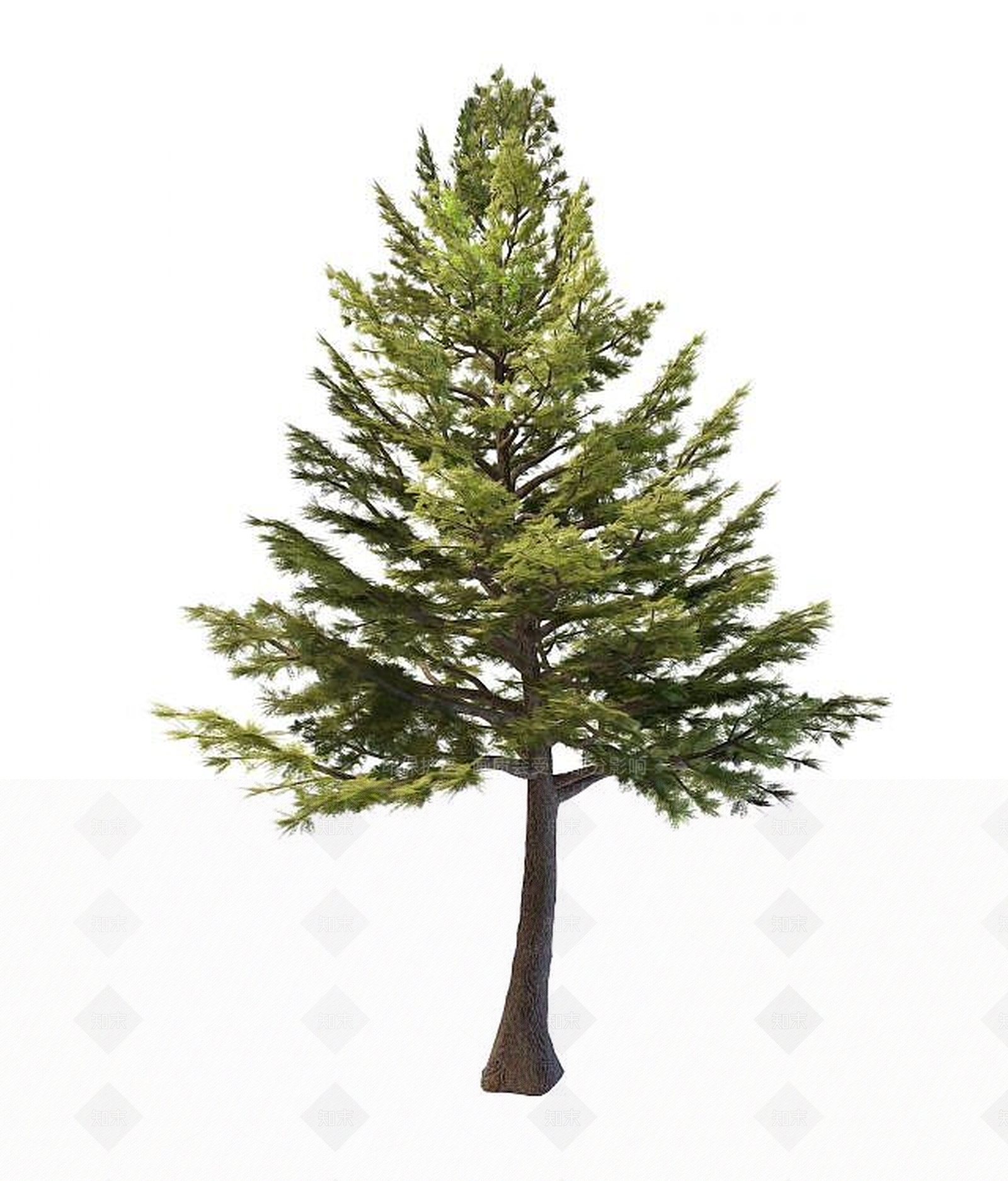 现代园林景观树木3D模型下载【ID:1189547114】