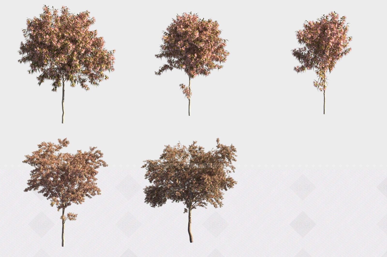 景观树3D模型下载【ID:1189556181】