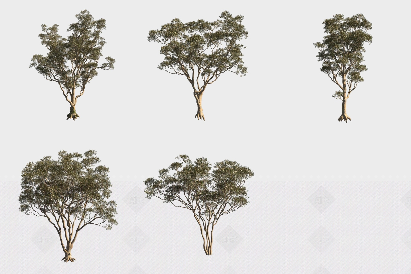 景观树3D模型下载【ID:1189556436】