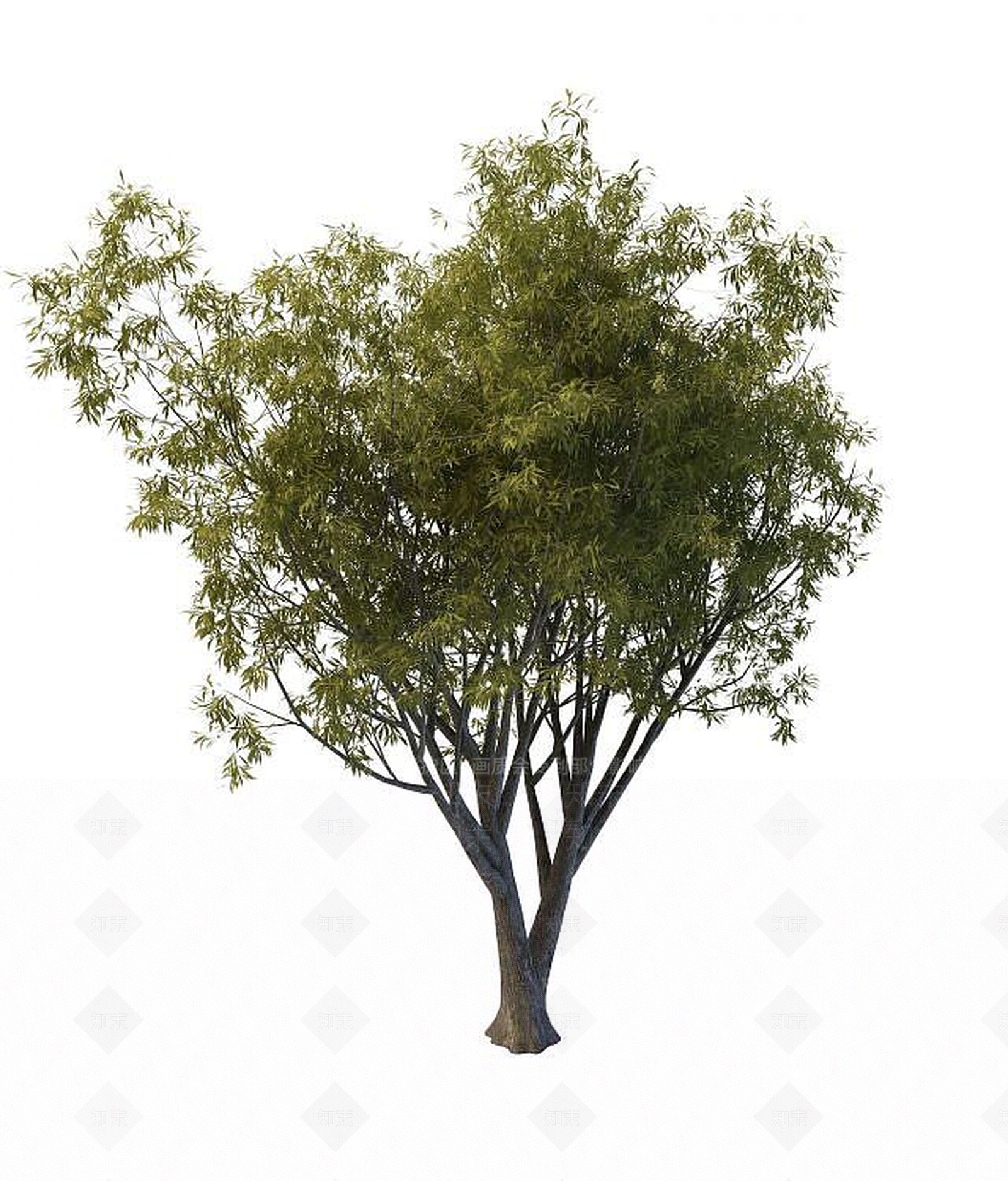 现代景观树木3D模型下载【ID:1189556756】