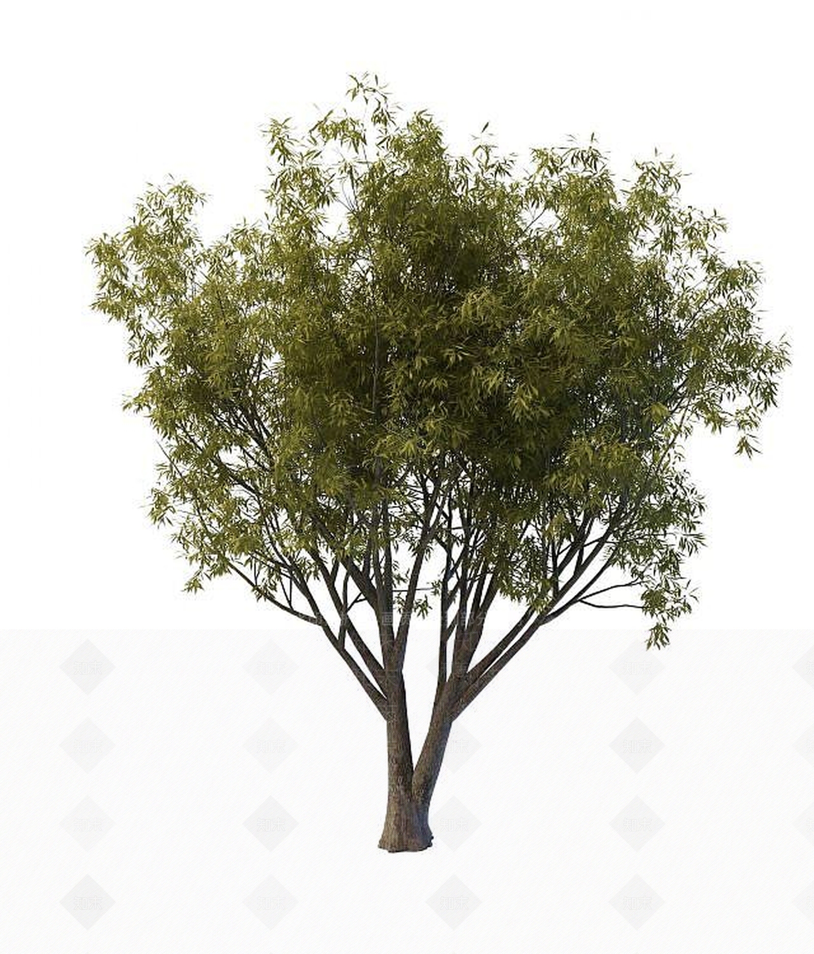 现代景观树木3D模型下载【ID:1189556756】