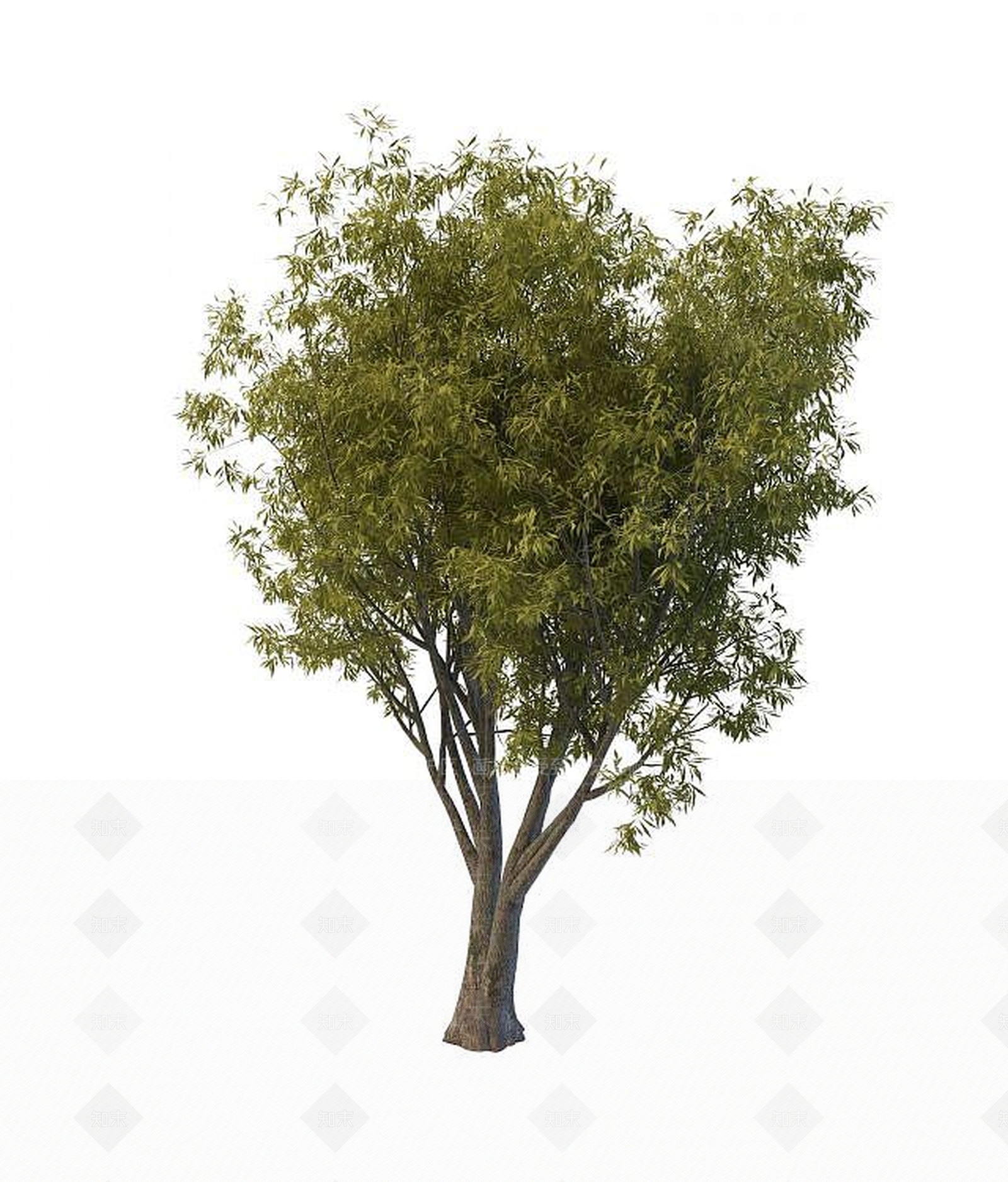 现代景观树木3D模型下载【ID:1189556756】
