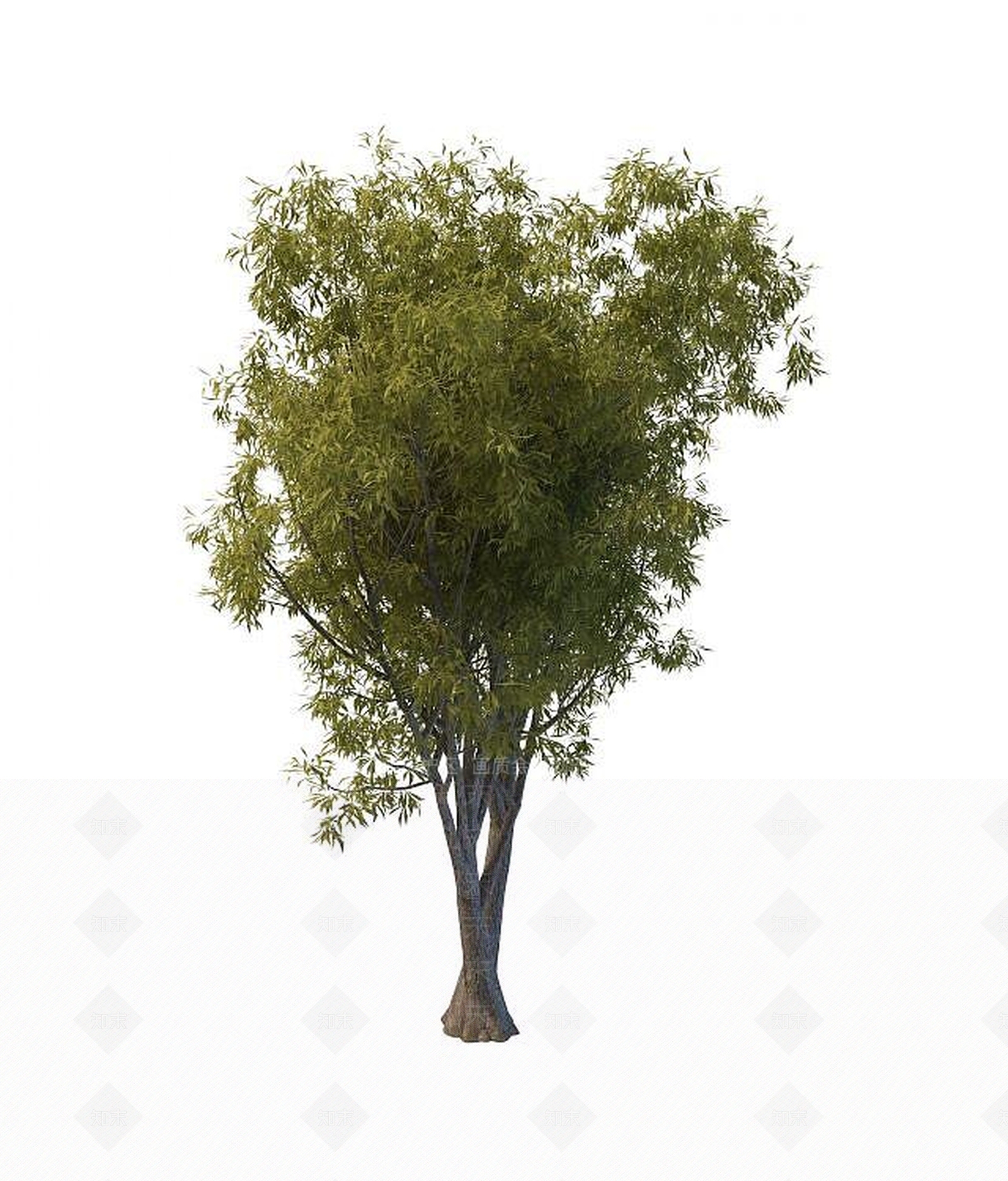 现代景观树木3D模型下载【ID:1189556756】