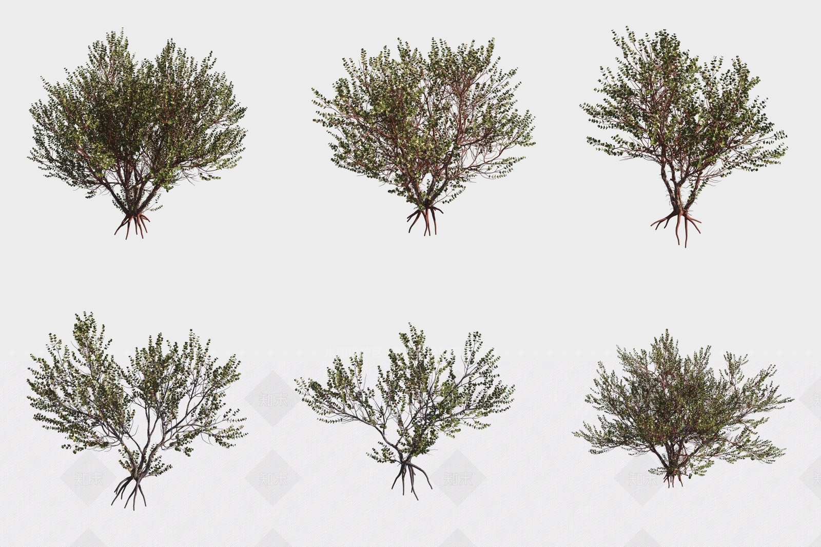 灌木3D模型下载【ID:1189560826】