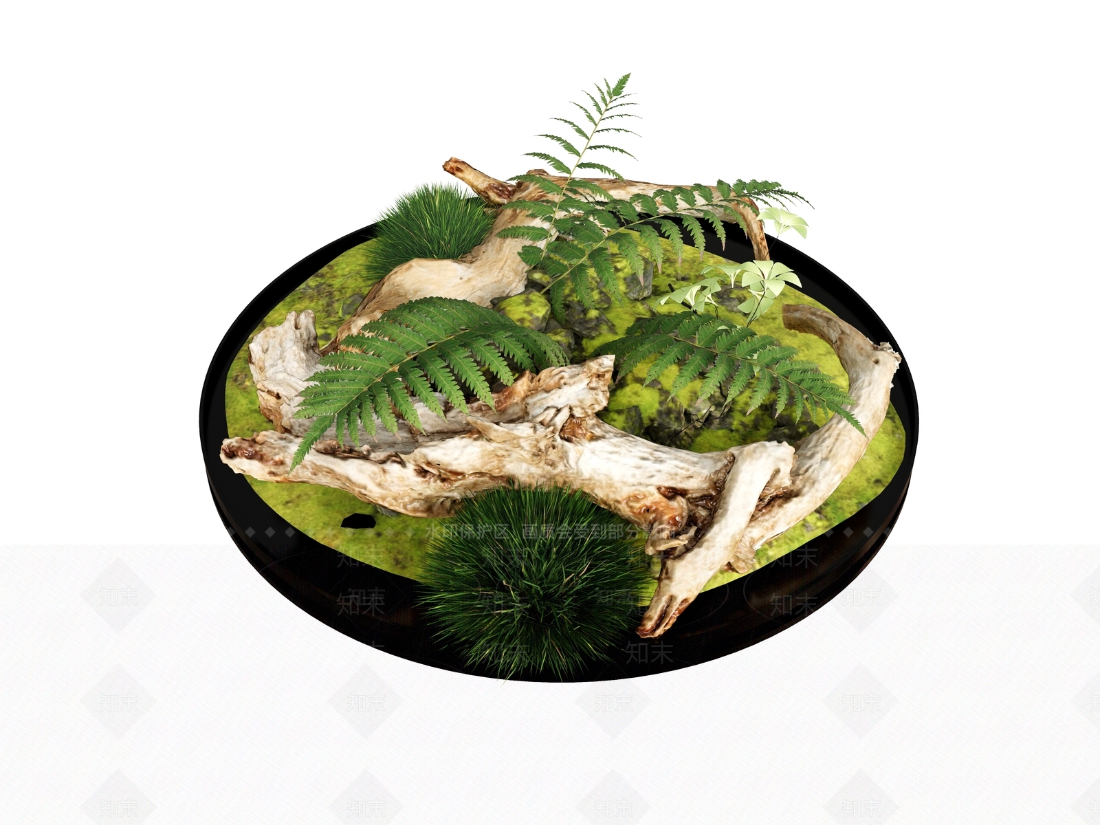 盆栽SU模型下载【ID:1189564721】