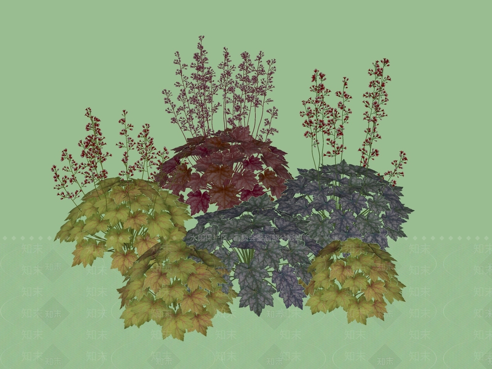 花草SU模型下载【ID:1189572457】