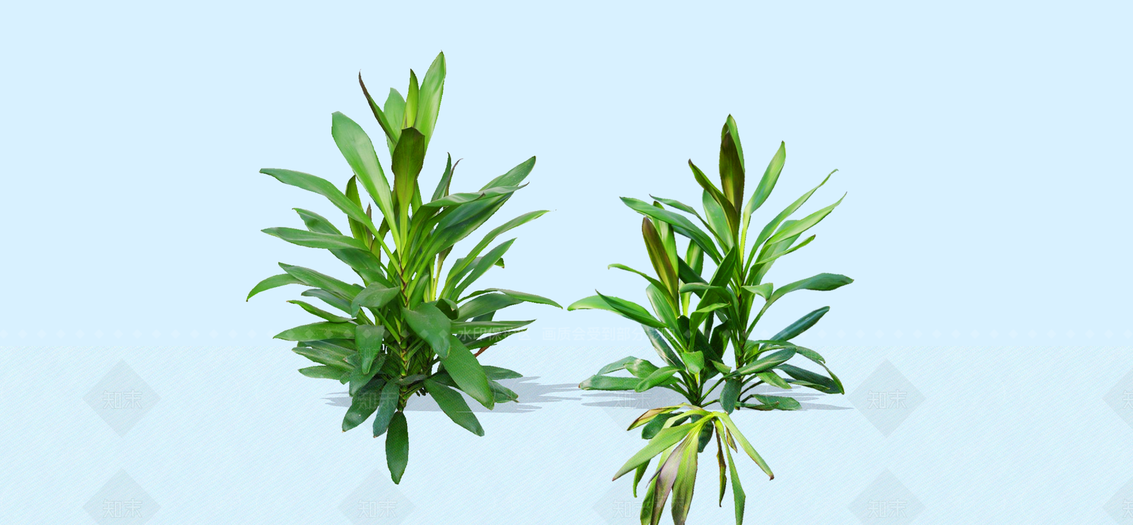 灌木SU模型下载【ID:1189576268】