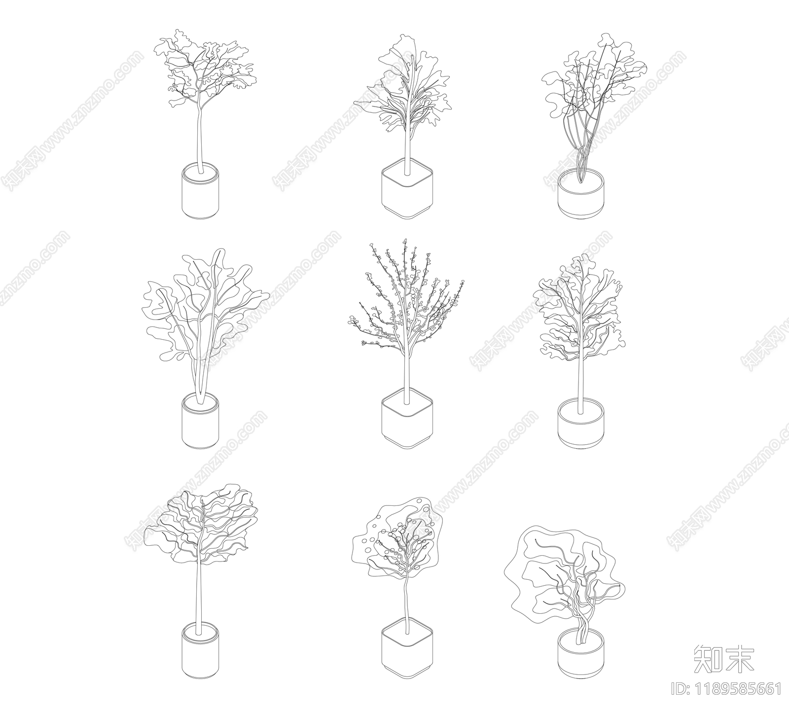 绿植cad施工图下载【ID:1189585661】