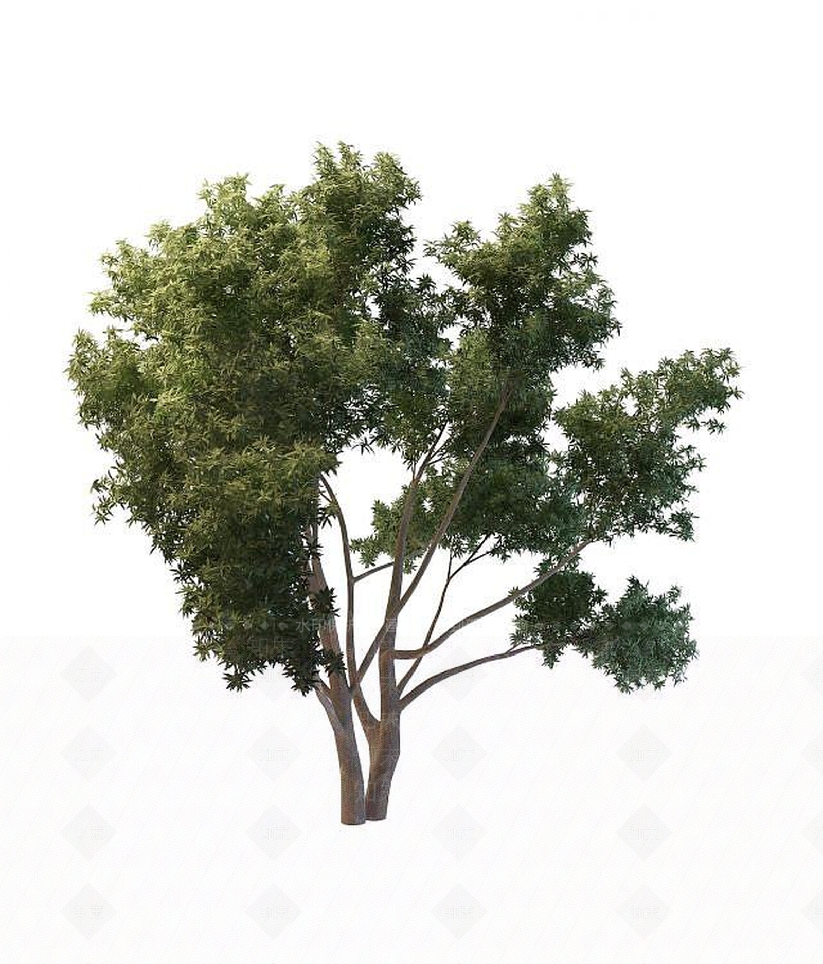 现代园林景观树3D模型下载【ID:1189624991】