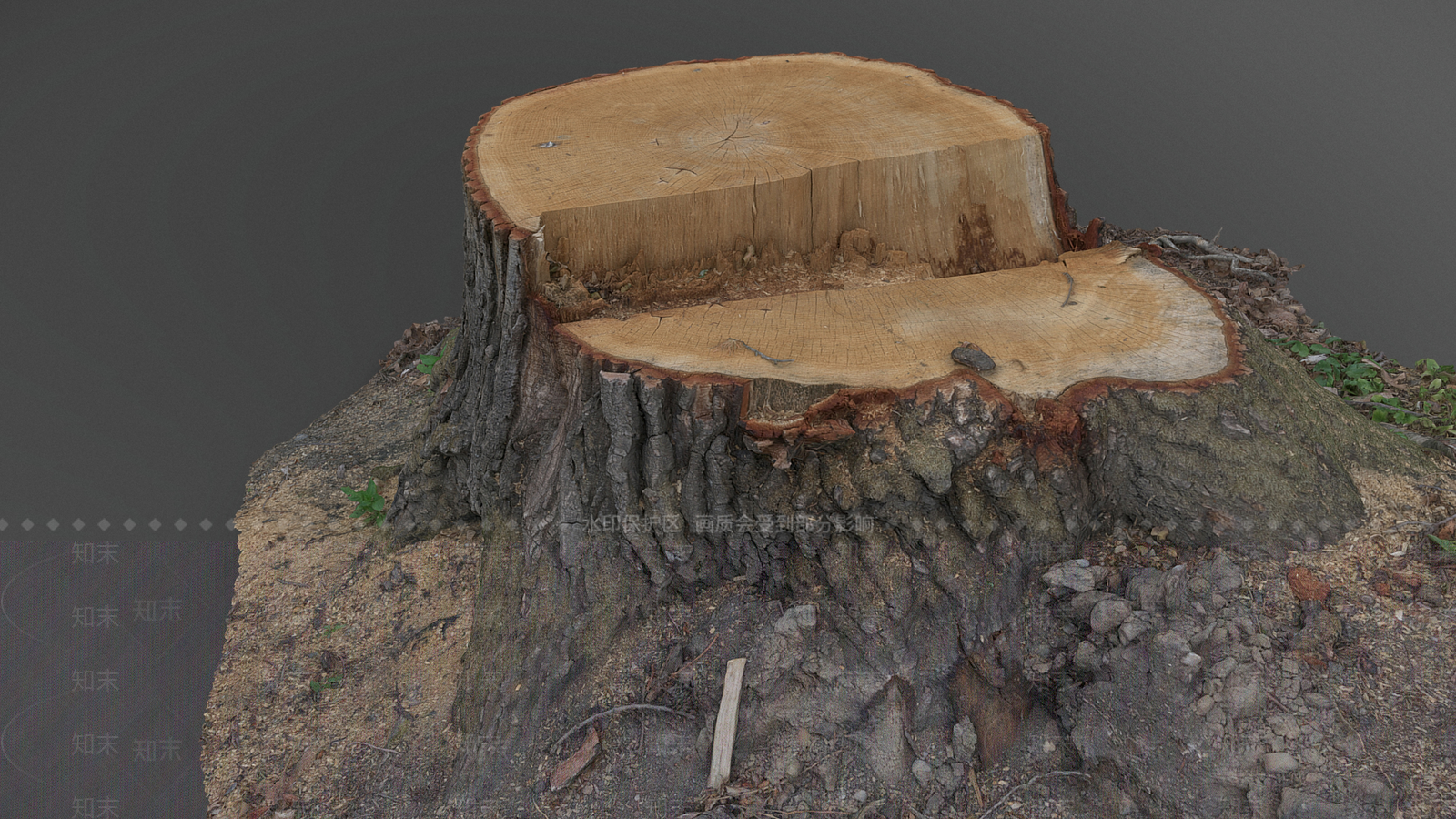 景观树3D模型下载【ID:1189638571】