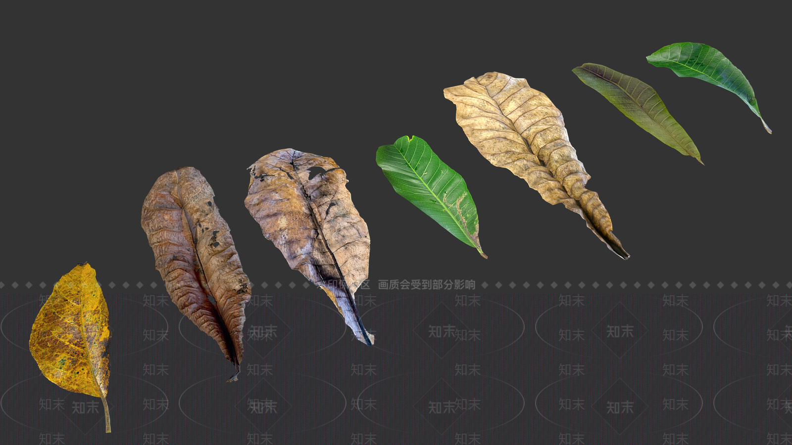 景观树3D模型下载【ID:1189680489】