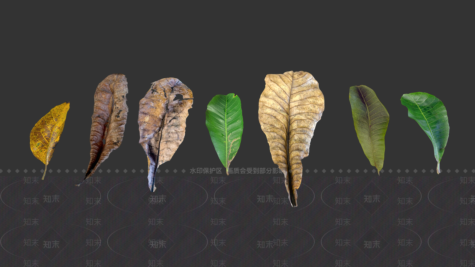 景观树3D模型下载【ID:1189680489】