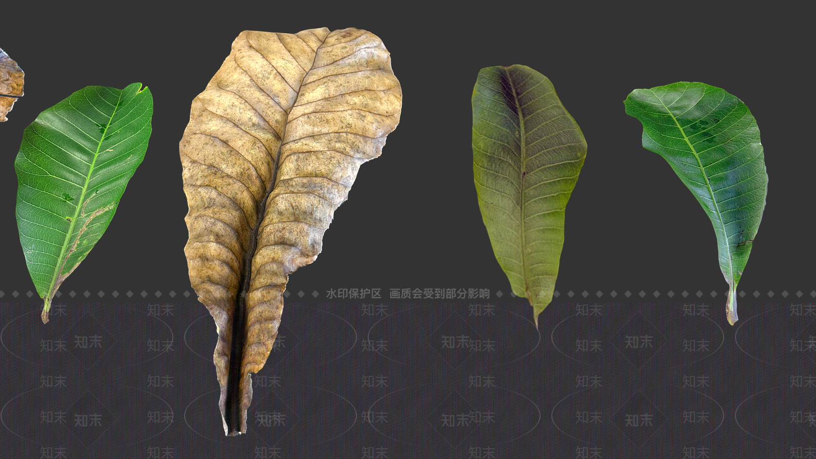 景观树3D模型下载【ID:1189680489】